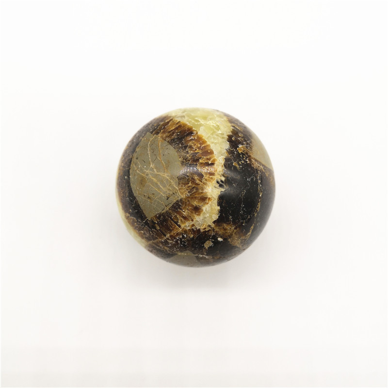 天然龟背石球原石风水摆件手把玩化石矿石鱼缸造景矿物标本水晶球