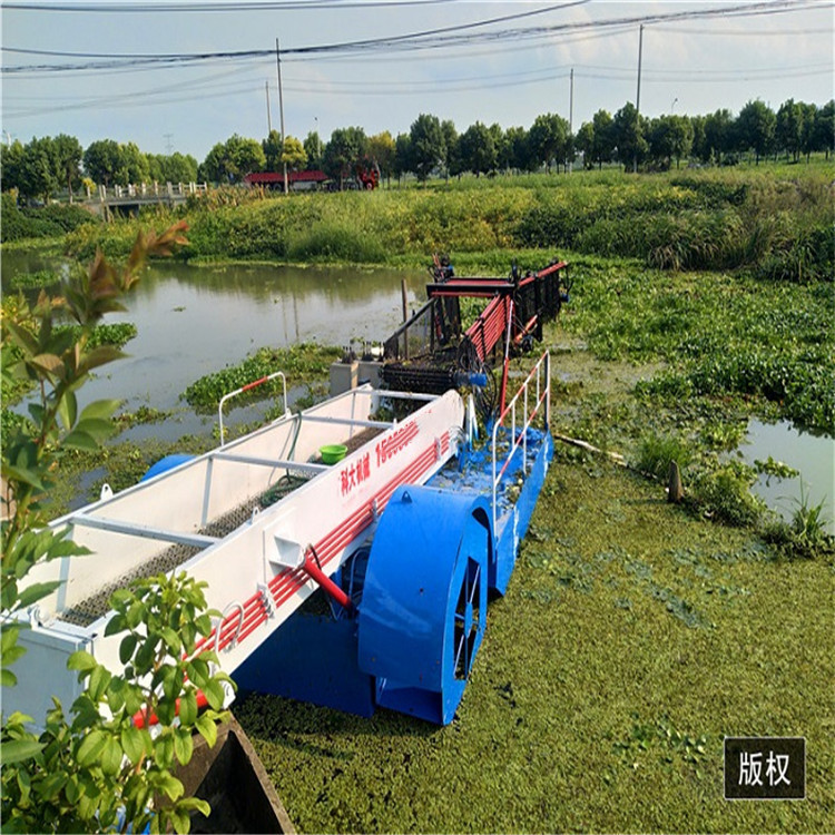 江苏盐城清理水面水草船 水花生捞草机 水葫芦苲草收割设备