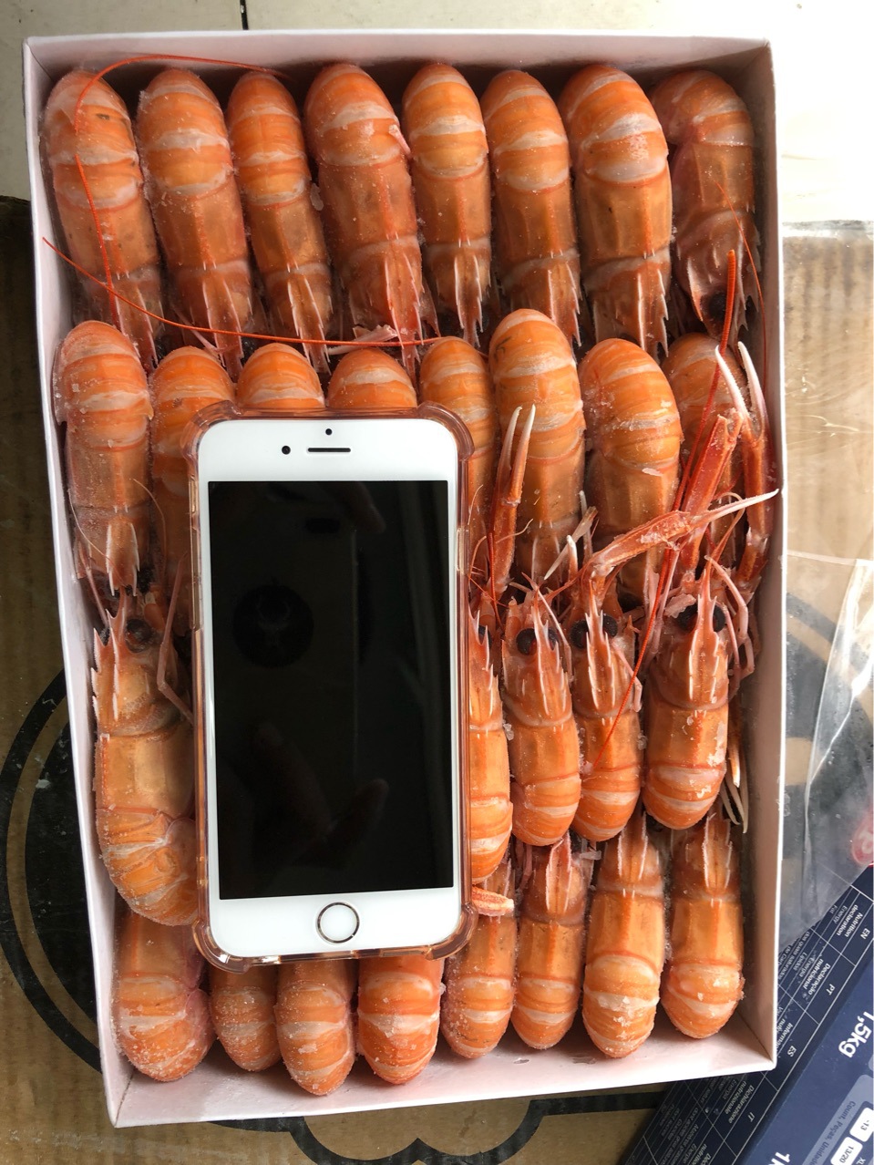 莫桑比克船冻鳌虾小龙虾ss刺身鳌虾日料自助餐拼盘刺身原材料批发