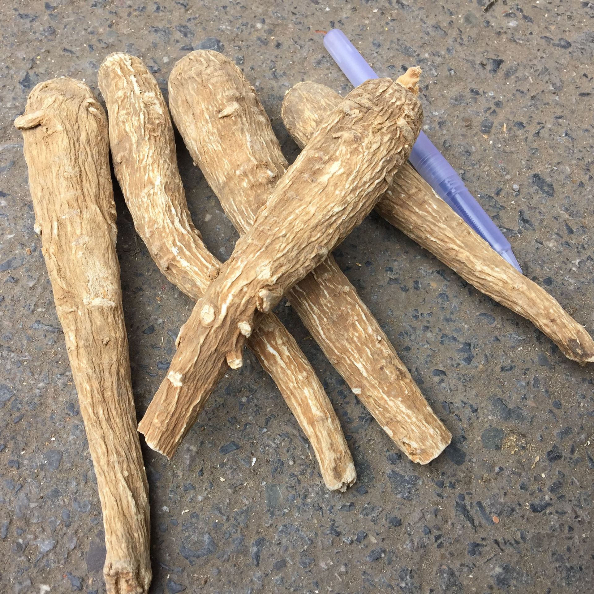 批发优质 白芷个 白芷 火锅调味香料 散装500g 量大从优