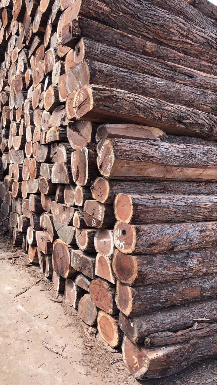 莫桑比克 红贵宝(非洲红酸枝)红贵宝板材 方料 价格便宜