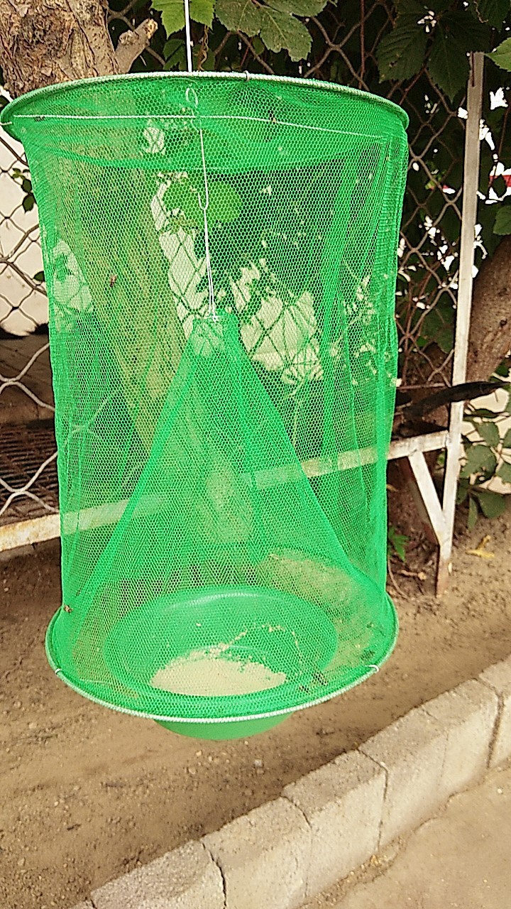 灭蝇神器杀手除抓苍蝇诱捕器捕蝇笼捕蝇器捉灭苍蝇笼家用强力户外