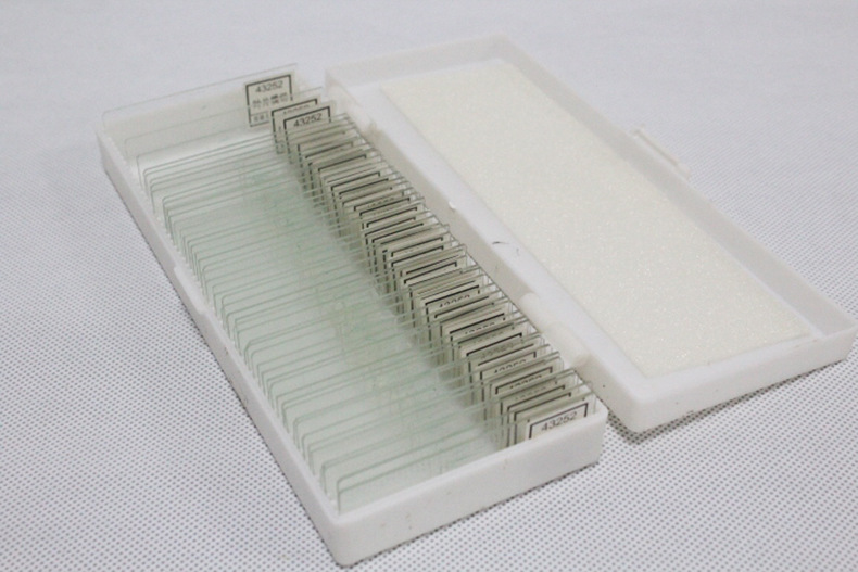 生物切片标本小学初中生物切片显微玻片标本切片批发