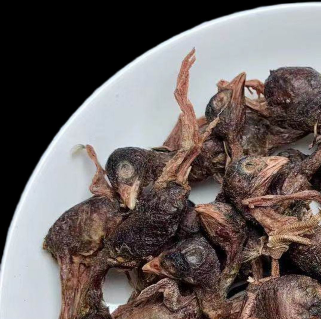 冻干小鹌鹑猫狗零食桶装250克一件代发