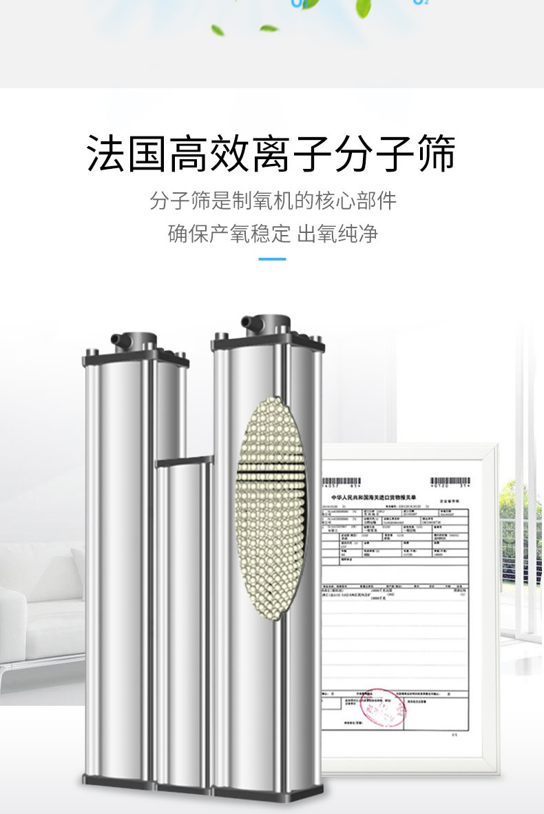 氧生康医用分子筛制氧机家用孕妇家庭吸氧机老人用肺气肿带雾化