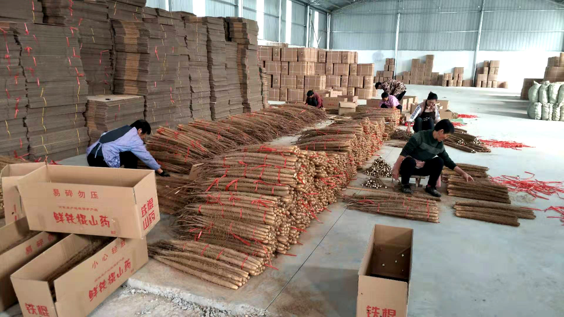 铁棍山药河南焦作温县正宗新鲜长沙土铁根淮山铁桂铁杆怀山棒