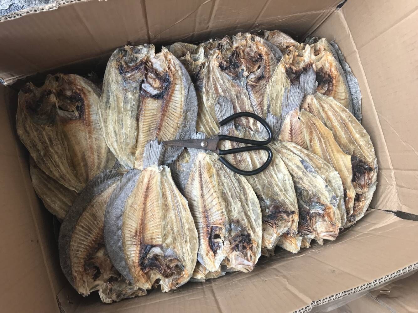 海鲜干货大地鱼干 铁脯鱼 比目鱼 大地鱼(很大)一件为35斤