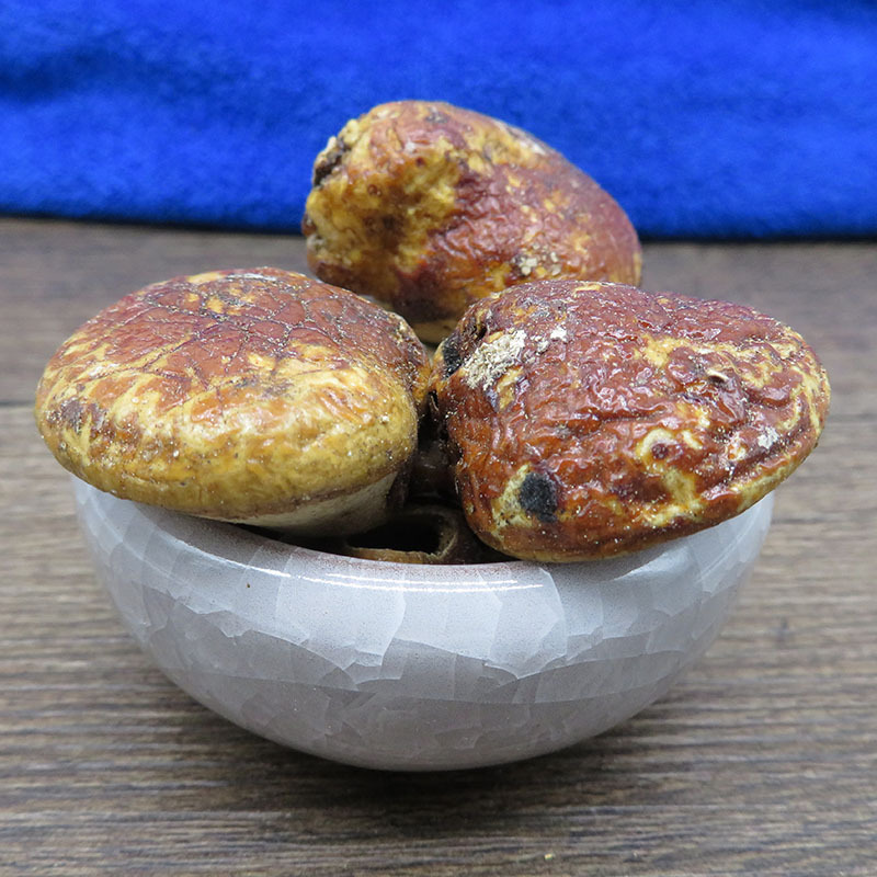 觅阳果椰香豆阳云果藏果菌果觅无根须元阳果元果批发冷背奇中药材