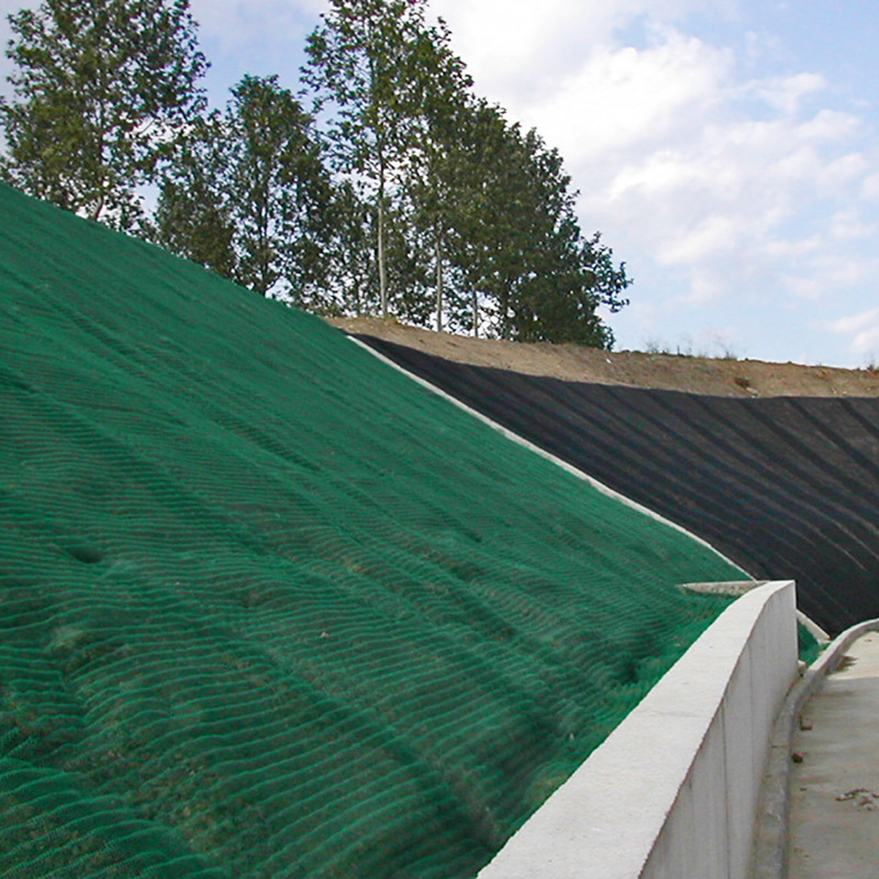 护坡三维植被网 绿化植草三维土工网垫 三维植被网垫防尘固土网