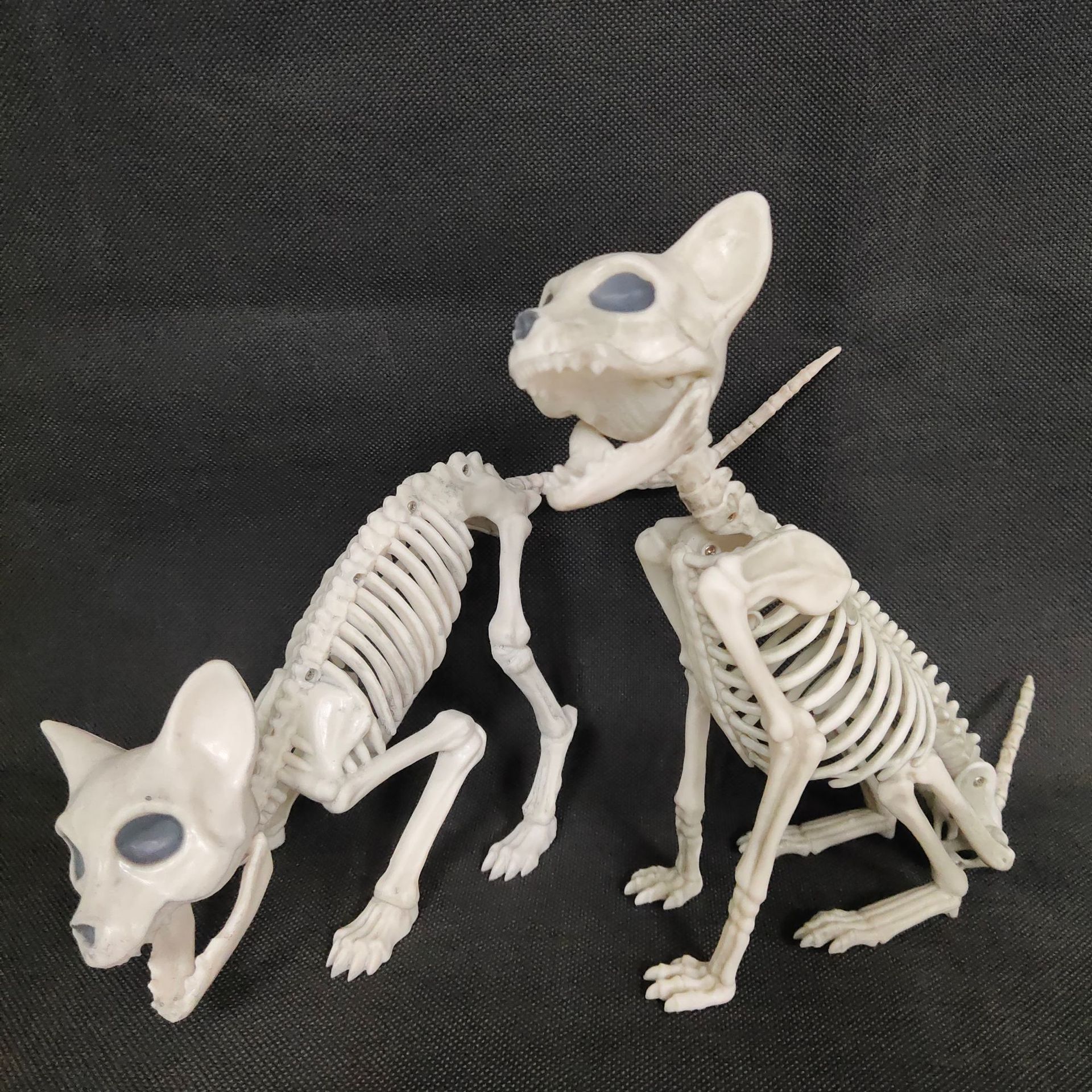动物骨架猫骷髅摆件 恐怖装饰 特色鬼屋道具摆设万圣节狗骷髅动物