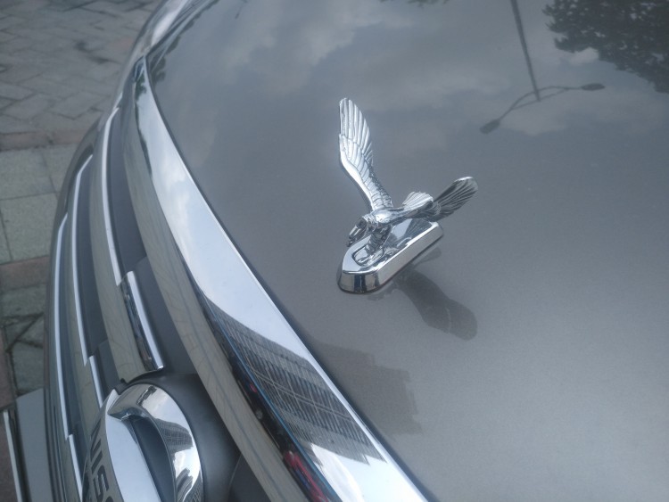 汽车金属立标机盖老鹰3d立体车标引擎盖个性装饰中网翅膀改装车贴