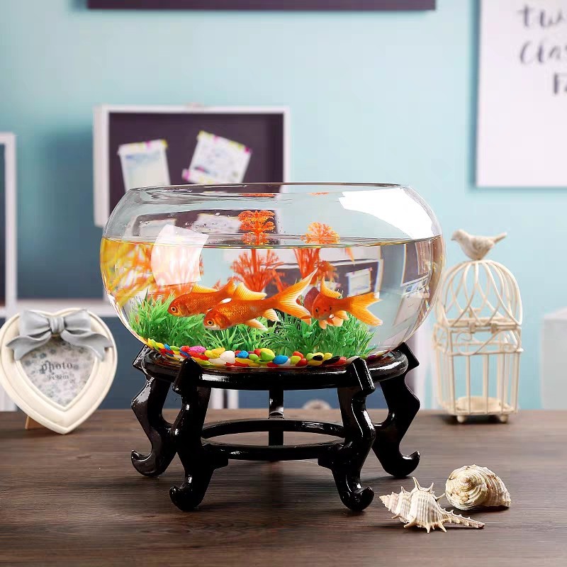 Generation Fish Tank Transparent Glass Office Living Room Creative Hydroponics Drum Cylinder round Turtle Jar Mini Desktop Fish Tank