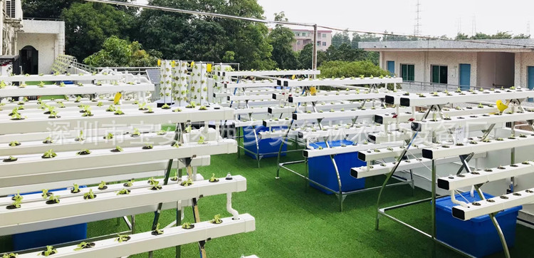 潮汐式水培系统种植架无土水培设备 阳台管道种菜机梯式水培机