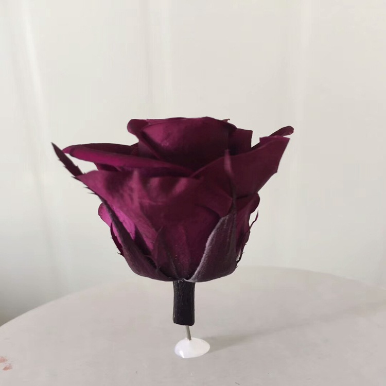 永生玫瑰花批发 2-3cm国产永生花24朵一盒保鲜花diy花材可定制