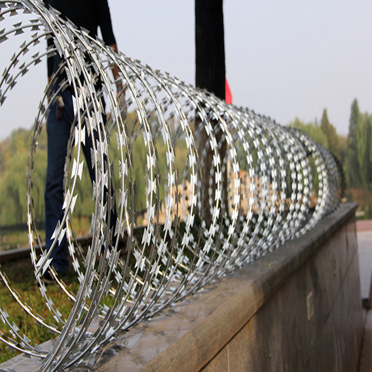 热镀锌防盗刺防爬刺滚笼刀片刺绳带刺铁丝围墙防爬网刀片刺网防锈