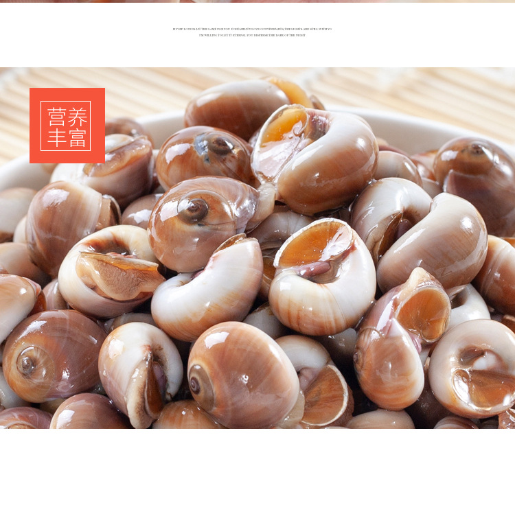 6斤装顺丰包邮鲜活小香螺新鲜野生香螺红香螺猫眼黄香玉螺肚脐螺