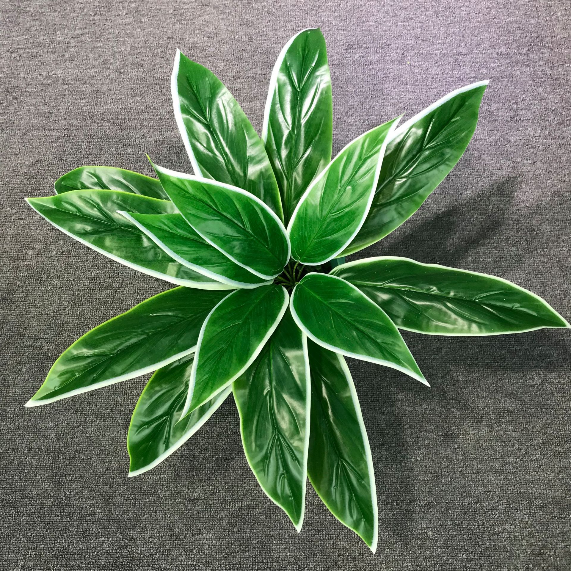 15头睡美人万年青竹芋巴西叶把束仿真花婚庆植物墙绿植装饰假花