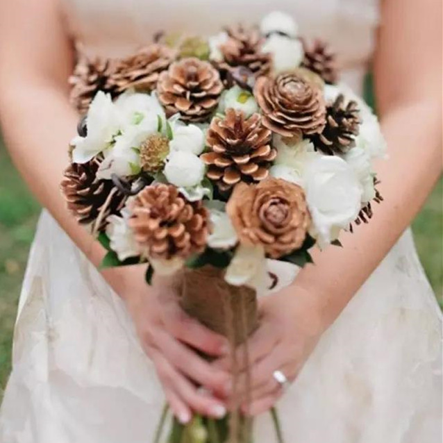 遇见松塔,遇见另一种美