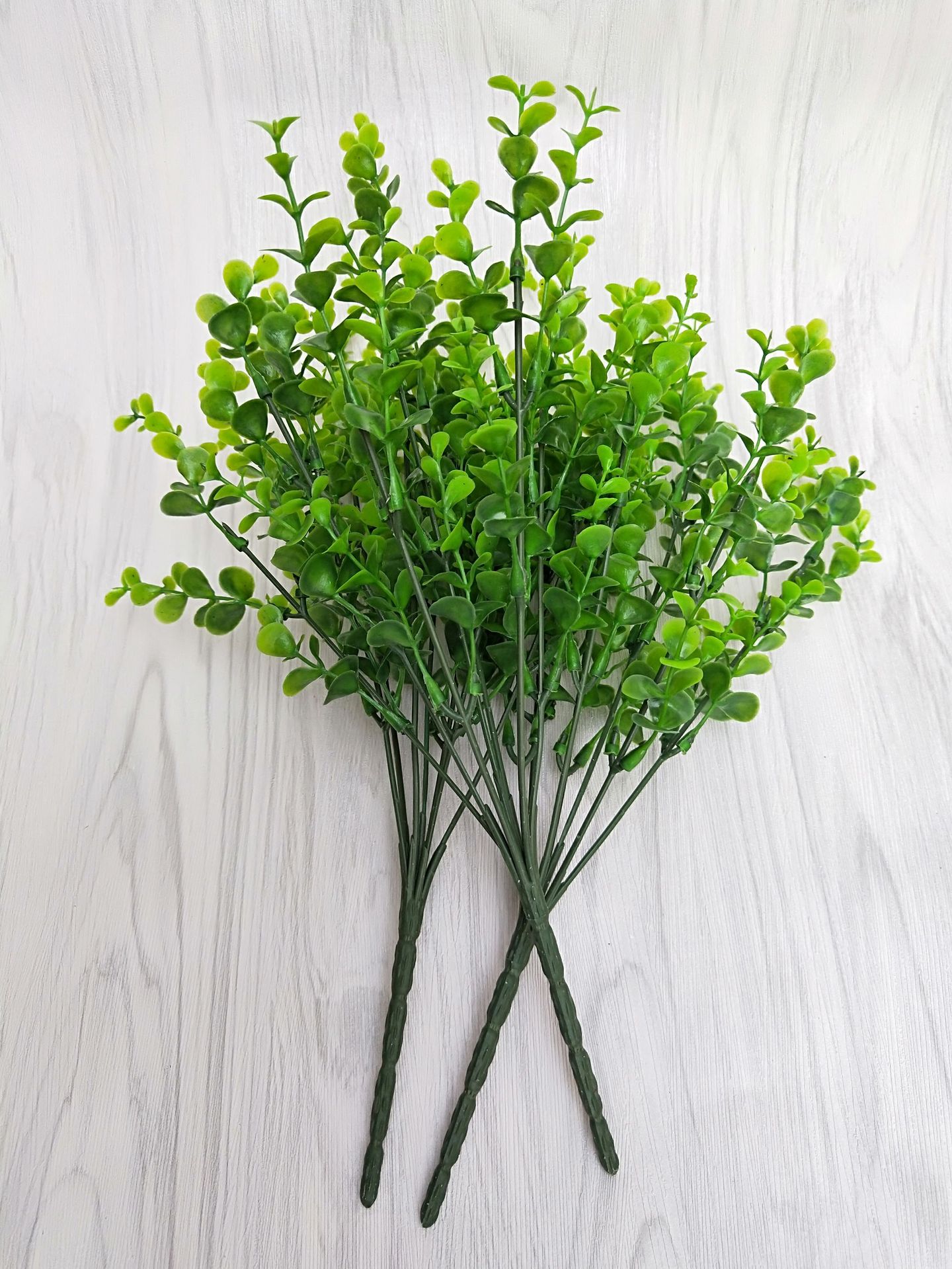 仿真小尤加利绿色盆栽塑料植物墙绿植盆栽装饰35目金钱草仿真植物