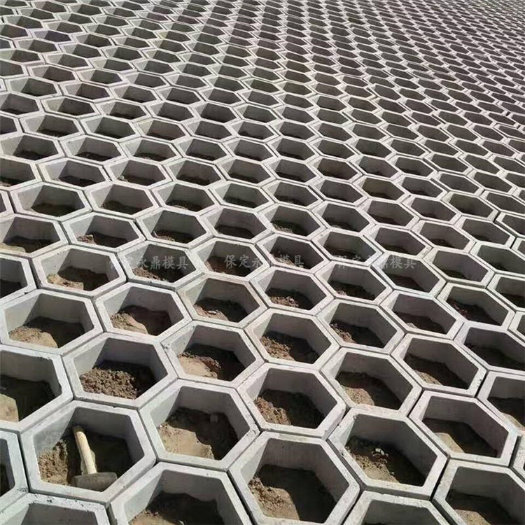 河道草坪砖水泥砖六棱块六角护坡塑料模具空心水泥路沿石护坡模具