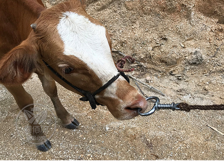 牛鼻钳牛鼻环安装工具 养牛场设备】价格_批发_厂家_参数_图片_畜牧