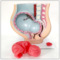 妊娠大肚婆模型孕妇解剖胎儿发育计生示教人体教学人体骨骼模型