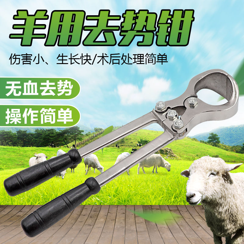 公羊不锈钢羊用无血去势器去势钳阉割钳羊牛煽牛钳兽用器械设备