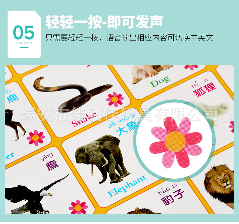 多多仔有声挂图早教发声挂画 儿童益智识字拼音 厂家直供一件代发