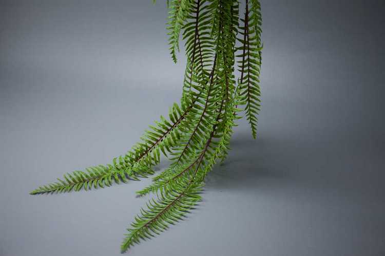 7叉垂挂排草a蕨草假花藤条婚庆婚礼家居装饰绿植树叶客厅壁挂装饰