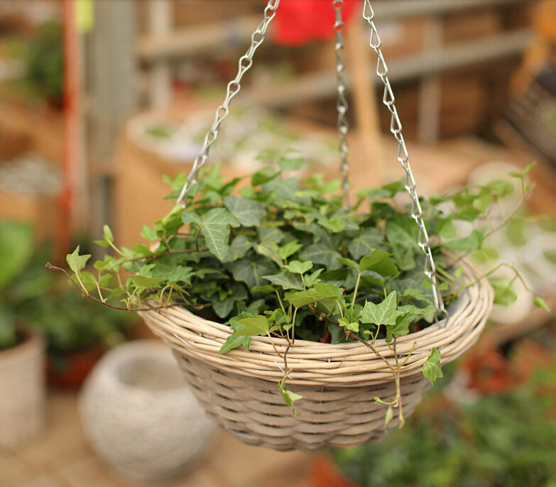 厂家批发室内室外阳台装饰花篮/水果篮 可挂壁花篮