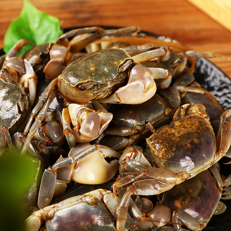 白玉蟹900g发财蟹醉蟹蟛蜞呛蟹咸蟹小螃蟹舟山海鲜特产一件代发