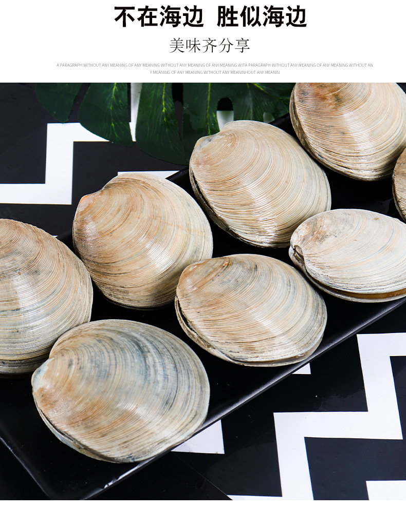 产地供货 月亮贝田螺肉扇贝蛤蜊花甲 烧烤火锅食材酒店海产品批发
