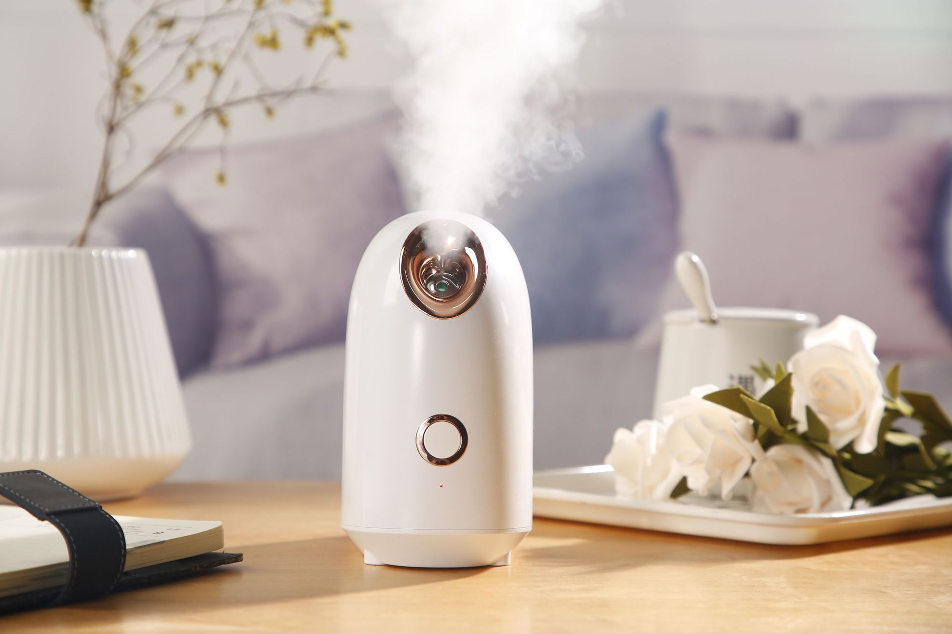 蒸脸器美容仪纳米喷雾补水仪蒸面器热喷美容仪家用加湿器蒸脸仪器