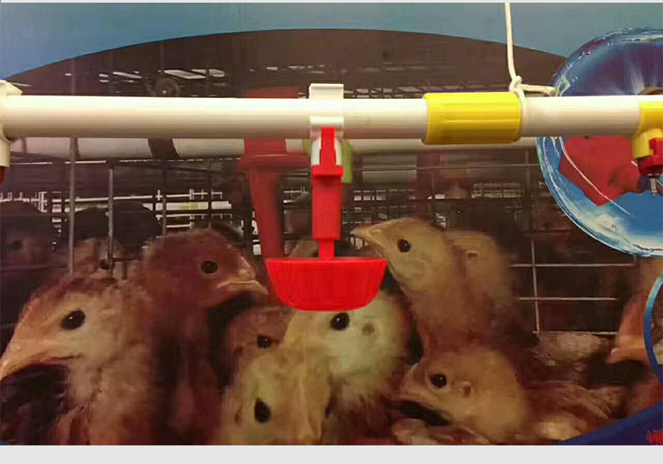 雏鸡鸽子自动饮水器厂家直销鸡用吊杯弹簧饮水器小鸡乳头饮水碗