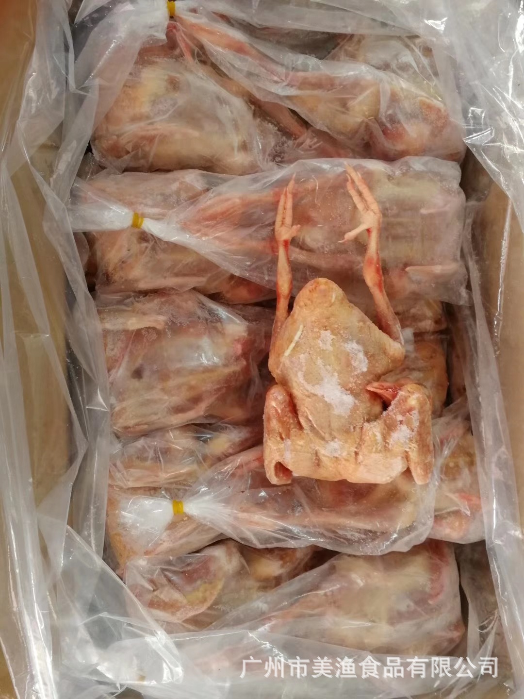 冷冻乳鸽 脆皮乳鸽 白条鸽子餐饮商用 土鸽子汤 5-9两/只 20只/箱