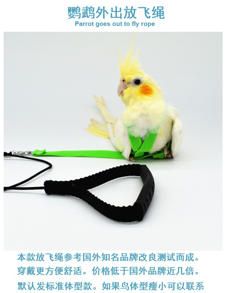 鹦鹉飞行绳背带式放飞绳子牵引绳虎皮玄凤遛鸟绳外出