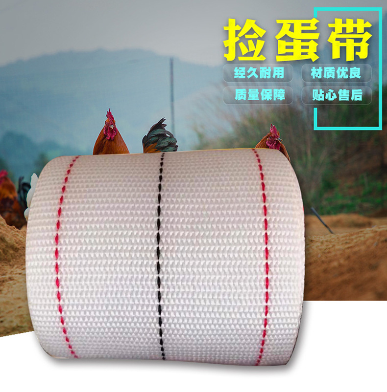 鸡蛋捡蛋带 集蛋收蛋机配件织带 集蛋输送鸡蛋带批发供应