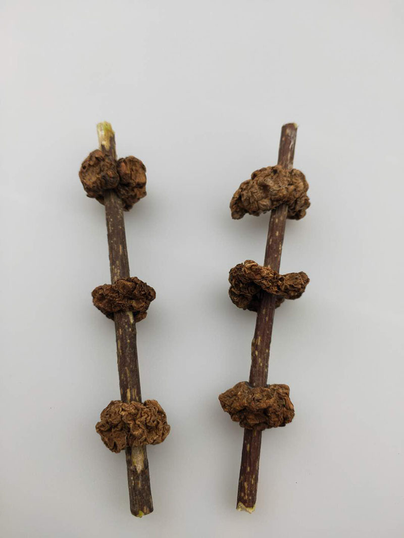 猫玩具藤球虫瘿果风铃耐啃咬-阿里巴巴