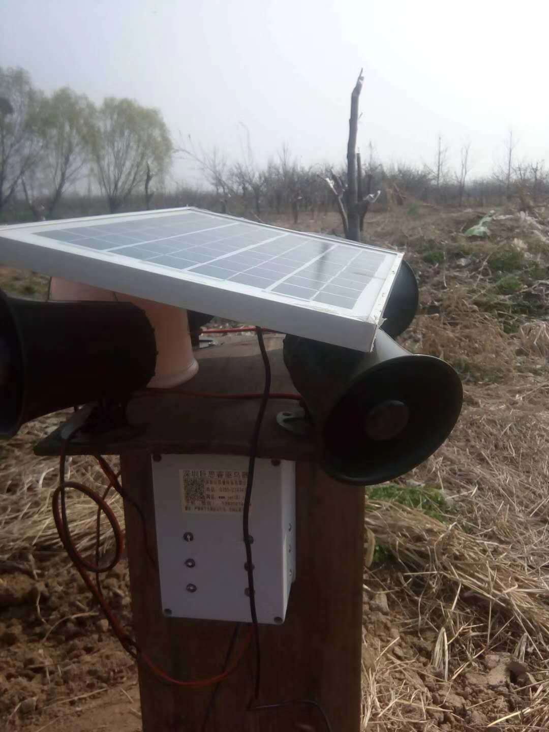 驱鸟神器果园专用赶鸟防鸟吓鸟太阳能超声波智能农田鱼塘用驱鸟器