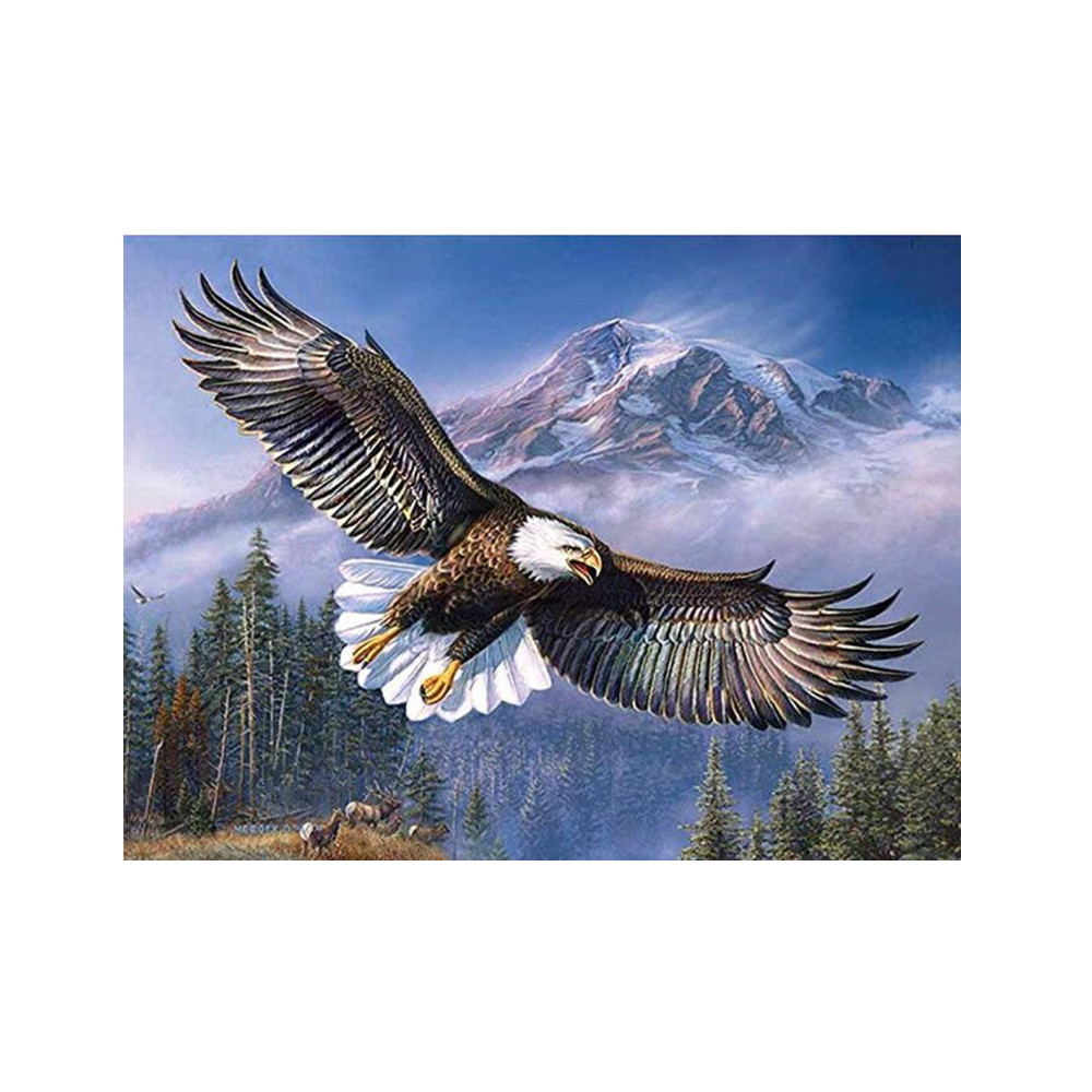 新款满钻客厅卧室翱翔老鹰钻石画爆款wish速卖通亚马逊爆款十字绣