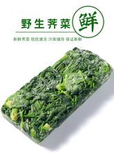 顺丰包邮苏北冷冻荠菜地菜速冻野菜荠荠菜混沌饺子春卷包子荠菜馅