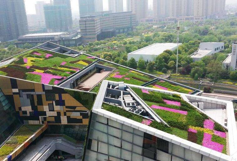 屋顶绿化5