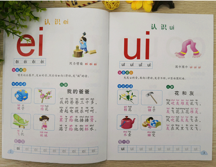 智慧鸟五大领域幼儿园教材学前班下册全套教学课本教科书资源包