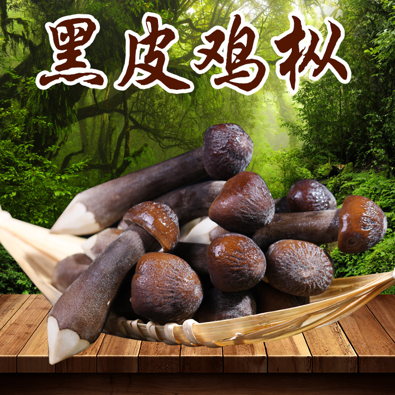 云南特产黑皮鸡枞 鸡枞产地直发量大从优爽口食用鸡枞菌-阿里巴巴