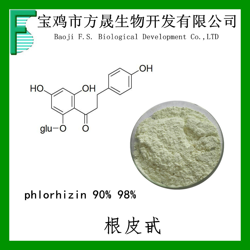 根皮甙/根皮苷98% phlorizin98% 根皮苷98% 现货包邮 60-81-1