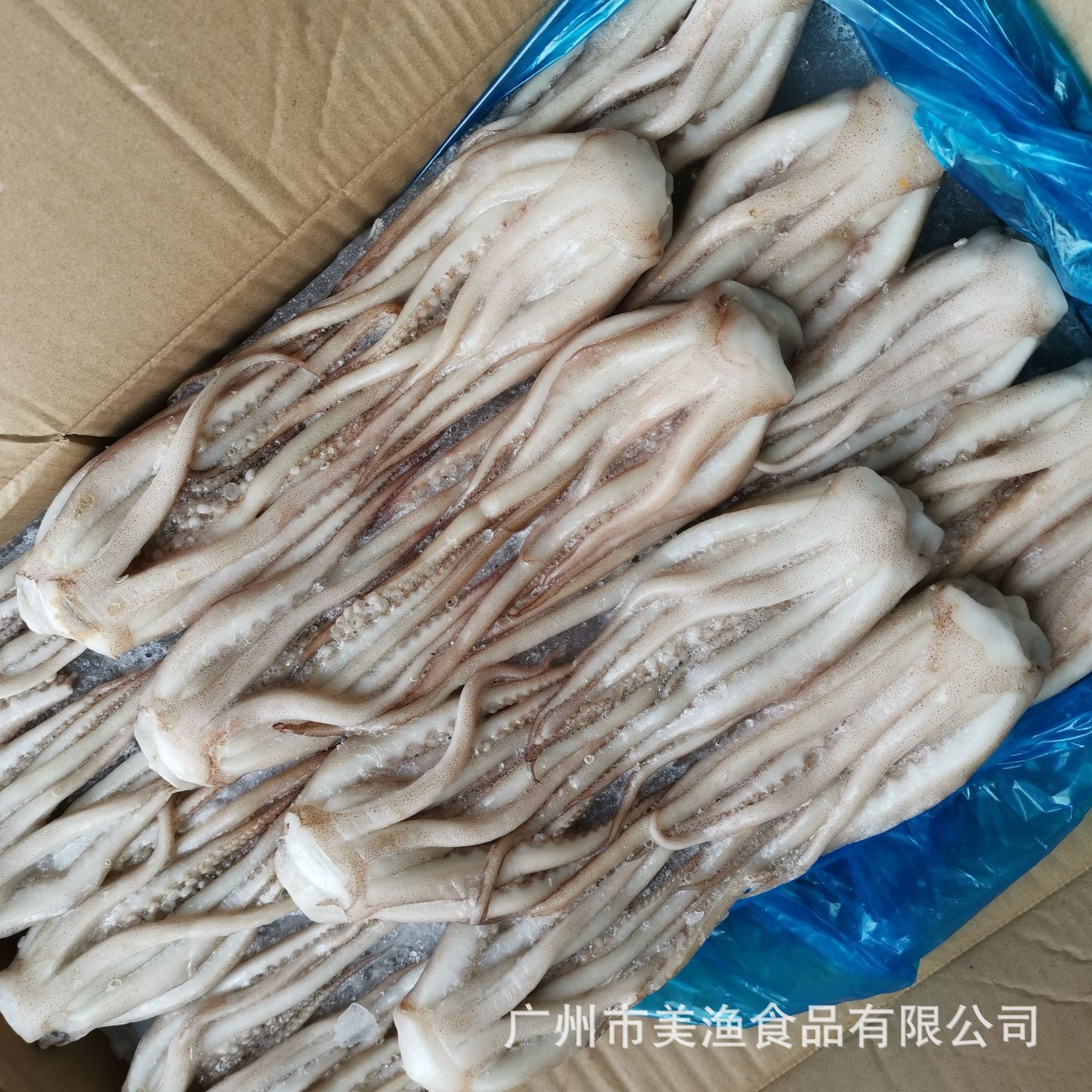 冷冻鱿鱼须 鱿鱼净须 烧烤爆炒火锅 净鱿鱼 包冰 20斤净约11斤/件