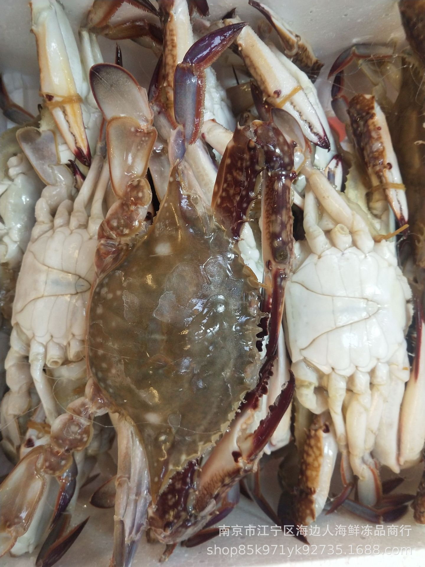 连云港码头自产批发速冻棱子蟹活冻大蟹速冻梭子蟹螃蟹花蟹脚