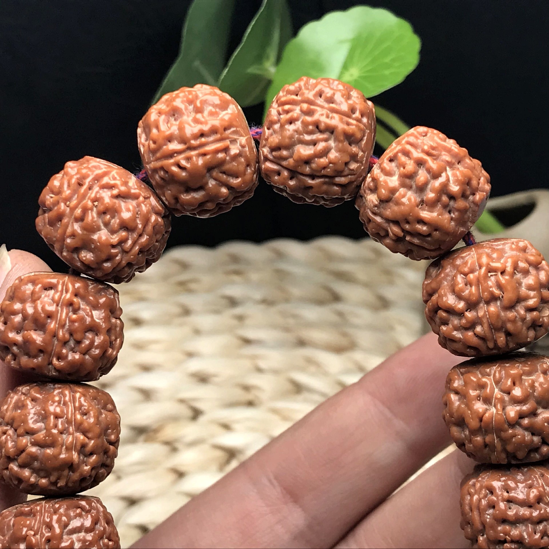 厂家批发藏式龙鳞纹金刚菩提 大草莓金刚菩提子佛珠手串手持念珠