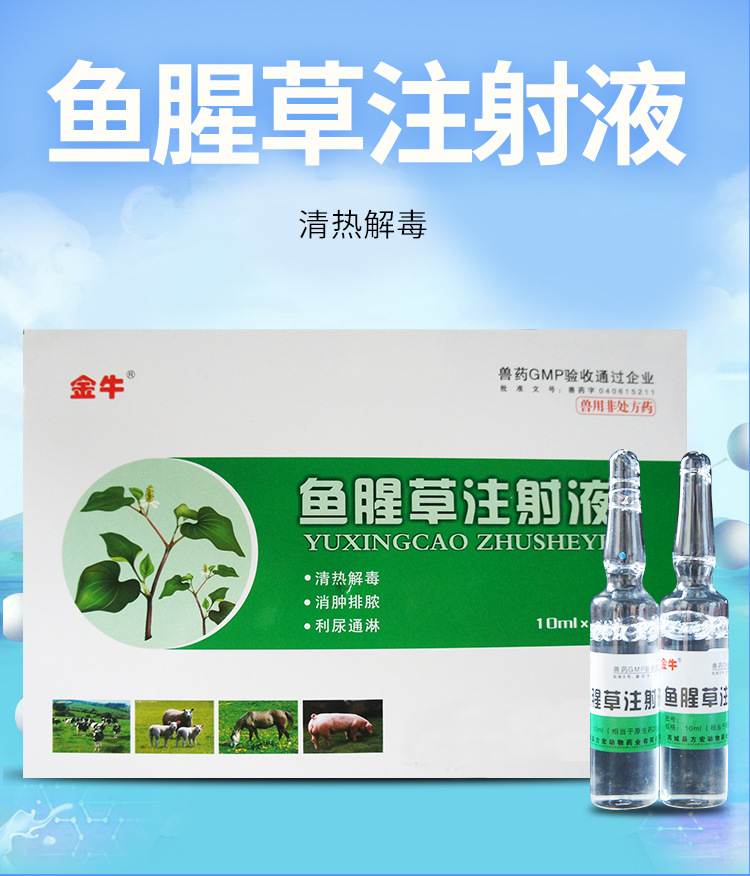 兽药鱼腥草注射液 清热解毒针兽用产前产后消炎针羊产后康 10支装