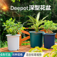 爱丽思爱丽丝花盆彩色Deepot深型花盆树脂高花盆塑料花盆5号/14号